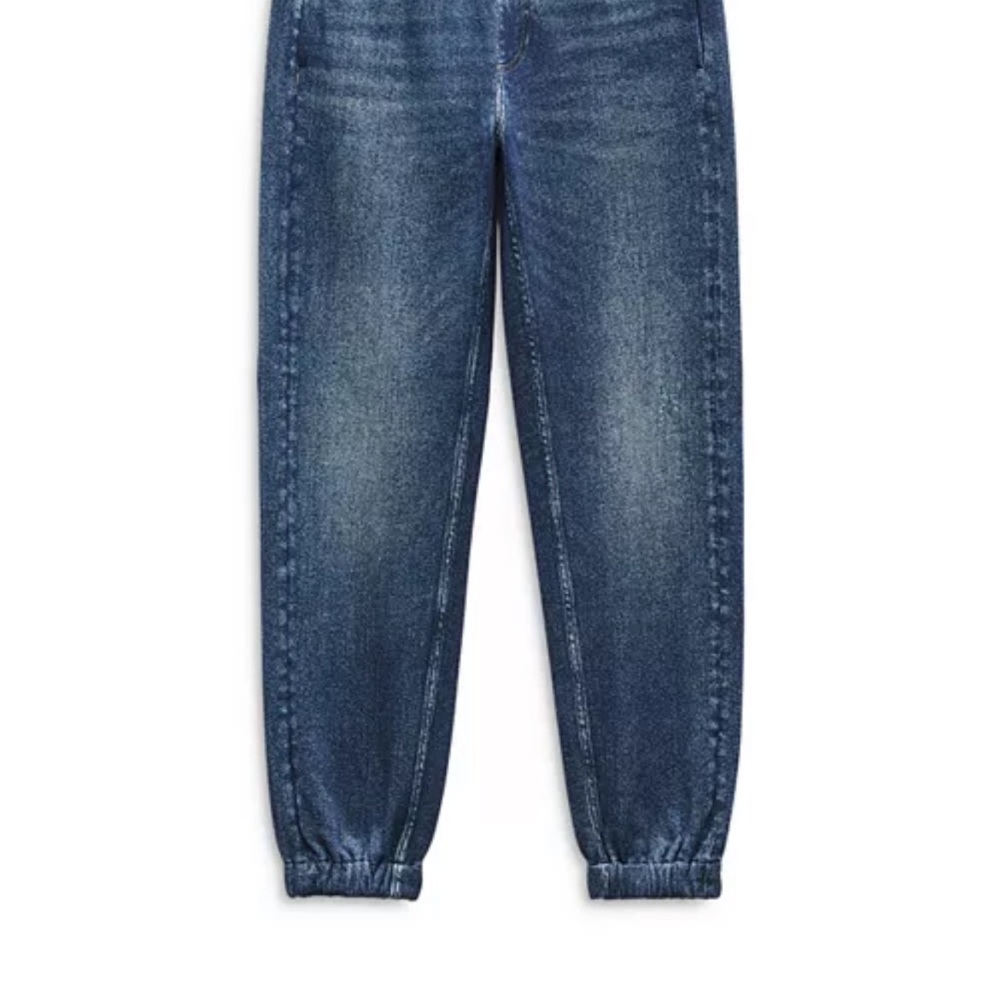 NWT Rag & Bone Miramar Fleece Terry Joggers in Grove, size XXS - Picture 4 of 6